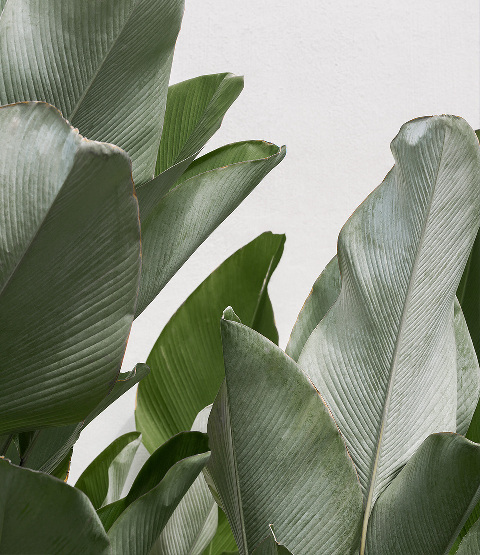 Beyond Control Natural